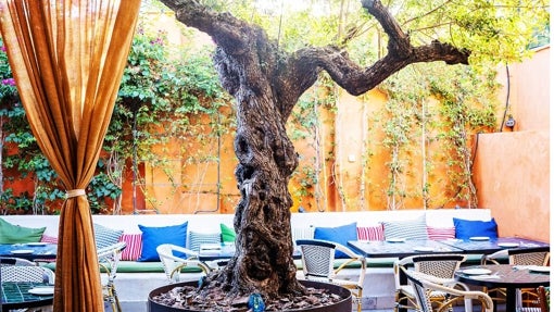 Terrazas del Aljarafe para disfrutar del verano