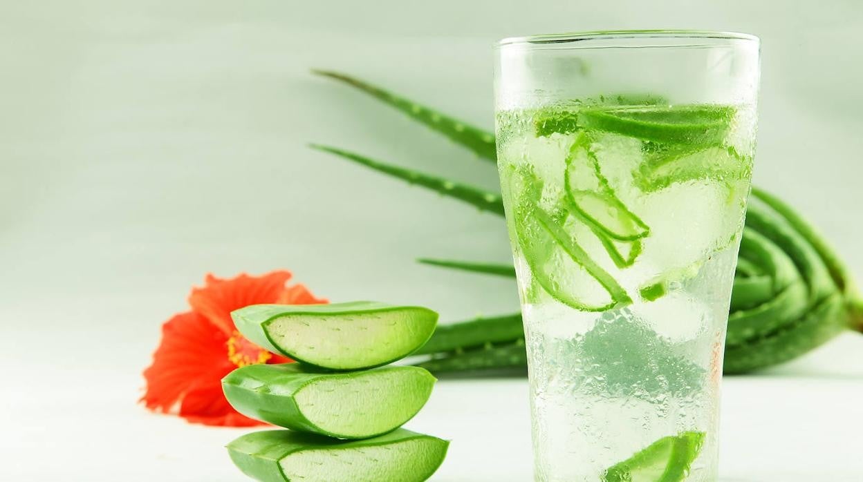 pro natures aloe vera gel test [VEGAN BEAUTY] Mild & Moisture ALOE VERA Watery Gel & Gel Tube