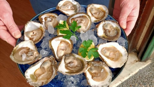 Dónde comer ostras en Sevilla