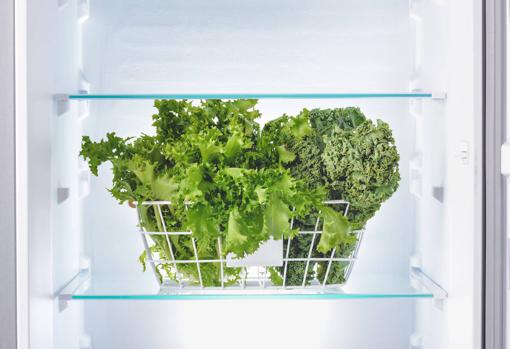 La nevera es una buena opción para conservar la lechuga, pero no es suficiente