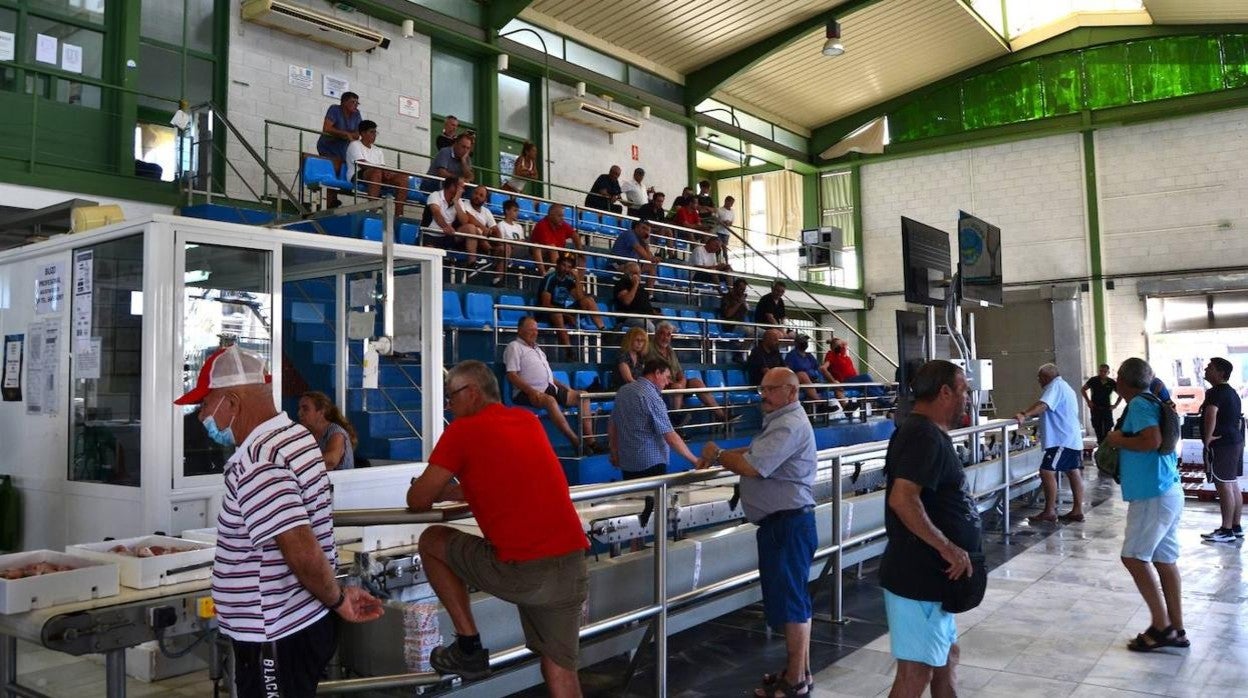 La lonja de la gamba roja