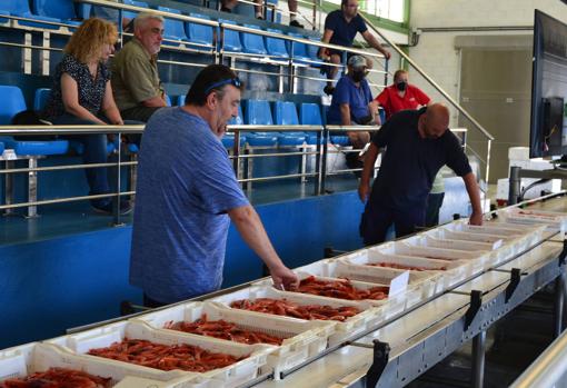 Algunos compradores inspeccionan el género antes de ser subastado