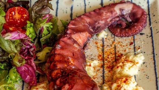 Diez restaurantes para comer pulpo en Córdoba
