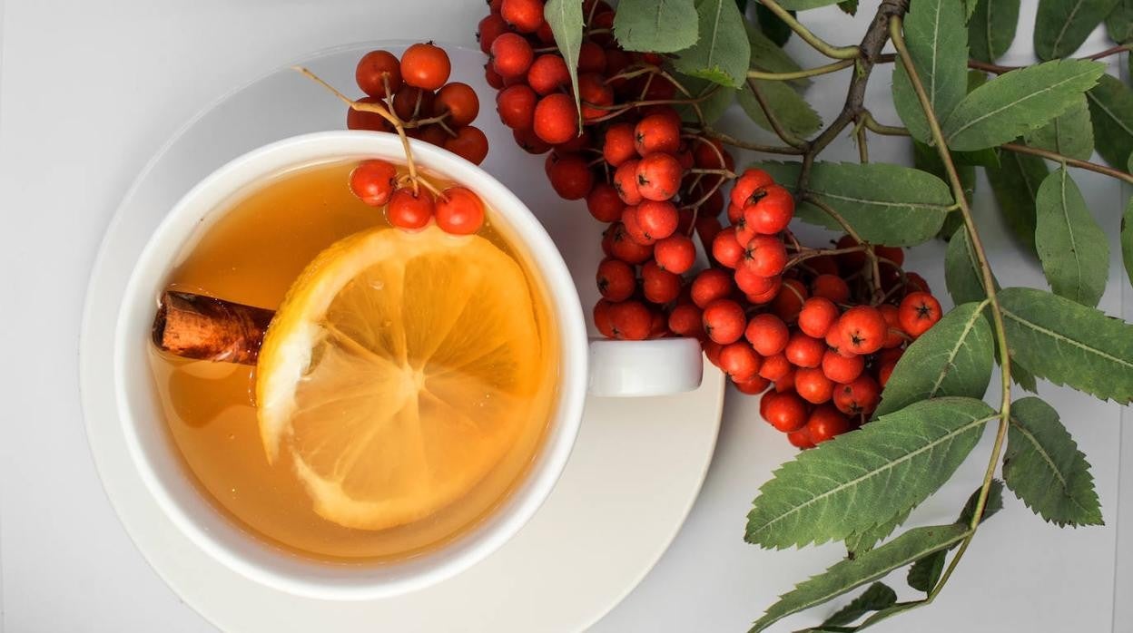 Las infusiones son buenas aliadas para perder peso