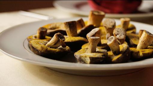 Restaurantes para disfrutar de la temporada de setas en Córdoba