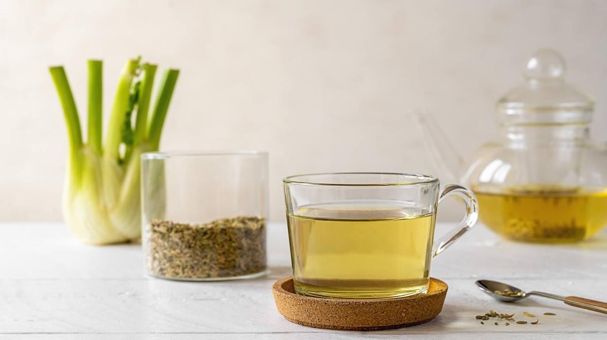 La infusión de hinojo se puede preparar con cualquier parte de la hortaliza