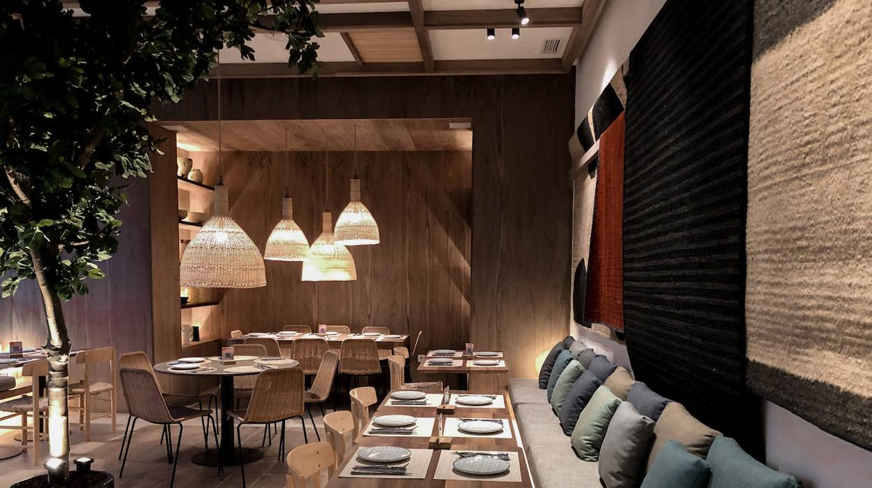 Saona Ramón y Cajal