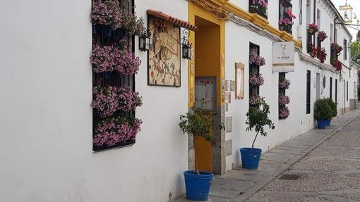 Diez tabernas de Córdoba donde comer bien y a buen precio durante el puente