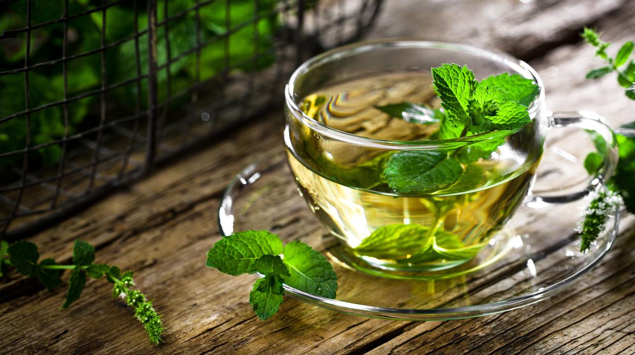 Las infusiones mejoran nuestro cuerpo por dentro y por fuera