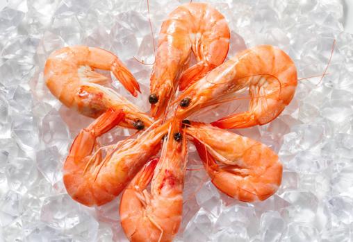 Para descongelar el marisco, lo mejor es dejarlo 24 horas en la nevera