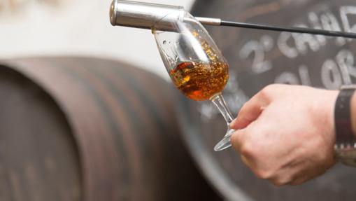 Diez vinos de Córdoba para tu mesa de Navidad