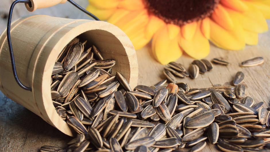 Esto le pasaría a tu cuerpo si comes pipas todos los días de tu vida