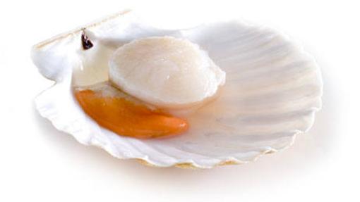 Recetas de cocina fáciles y rápidas para una cena en casa por San Valentín 