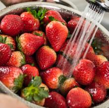 Antes de usar las fresas hay que lavarlas bien