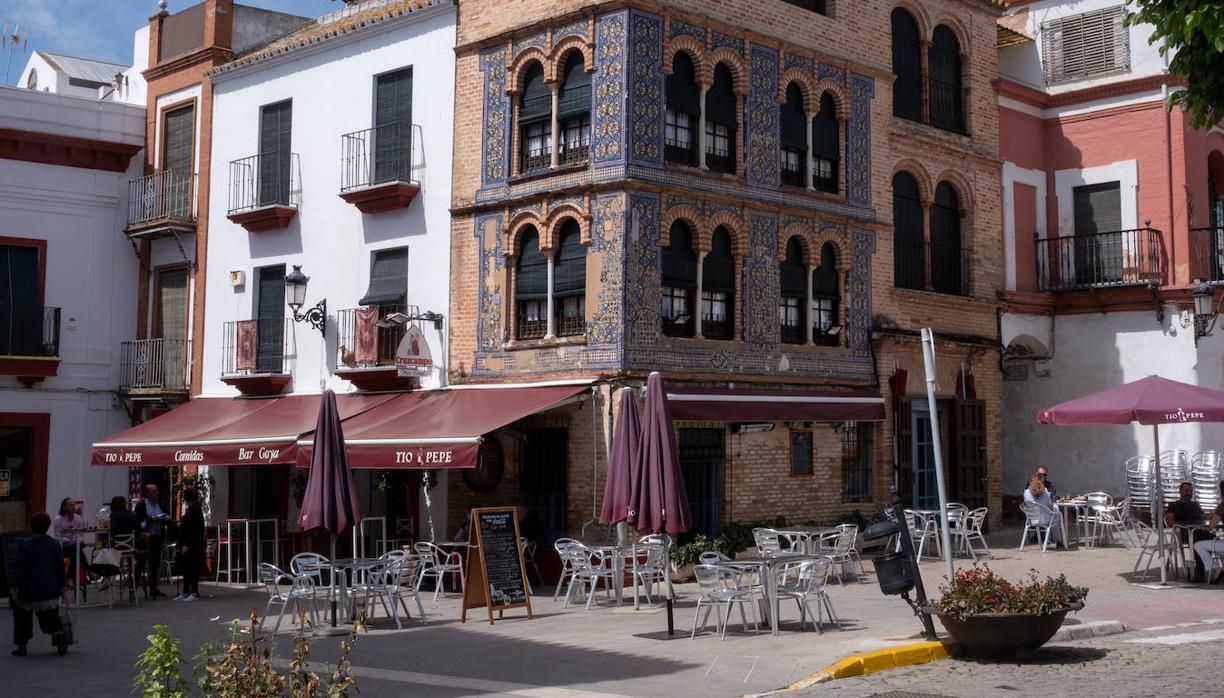 Bar Goya: «Raíces»