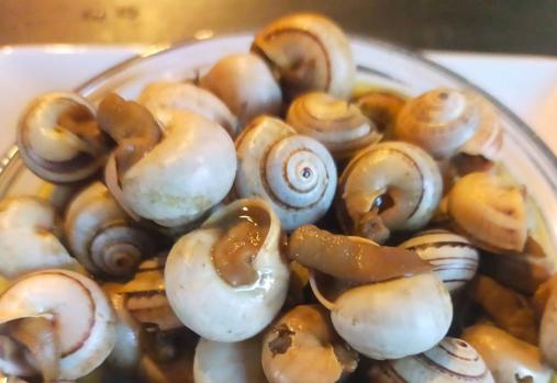 Bodeguita Ramillete, una abacería de barrio en Los Remedios