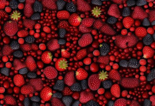 Los frutos rojos nos aportan muchos beneficios