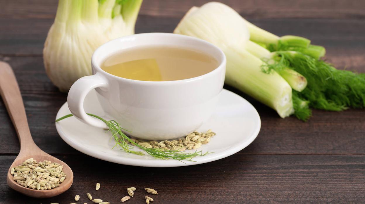 Infusión de hinojo