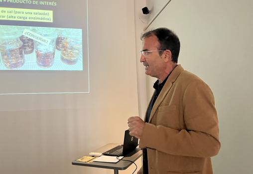 Víctor Palacios, Catedrático de la Universidad de Cádiz
