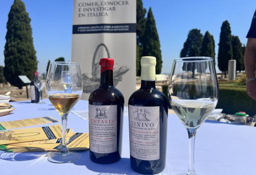 Arqueología y gastronomía se dan cita en Itálica