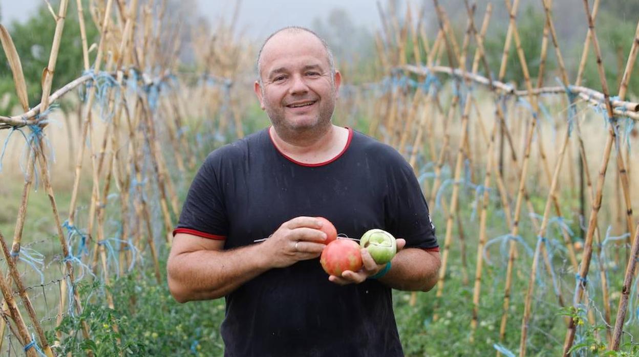 El tomate rosa es uno de los cultivos de temporada que tiene Luis Alberto García