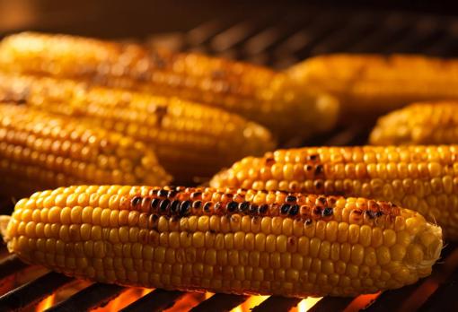 Las mazorcas de maíz son todo un clásico en la barbacoa