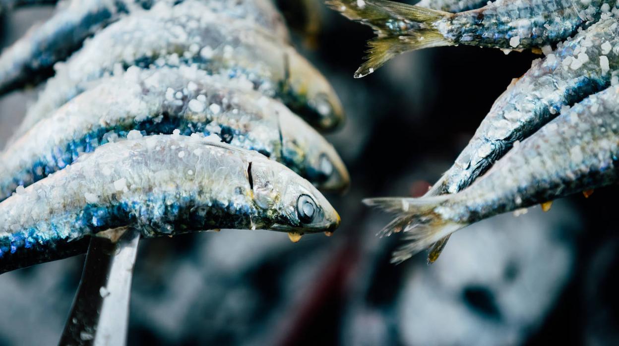 Los espetos de sardina son una delicia veraniega