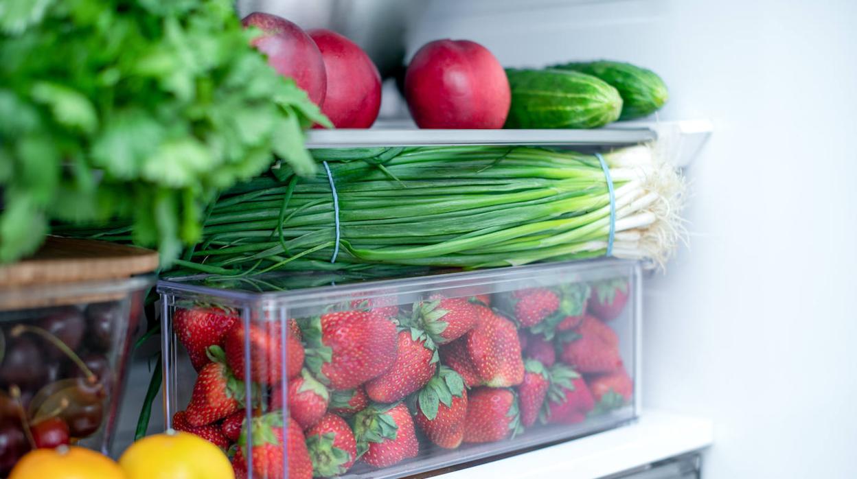 La disposición correcta de alimentos en la nevera es esencial para mantenerlos frescos