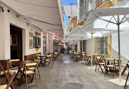 El sembrao: nuevo proyecto de los hermanos Gil (El paseíllo) en el corazón de Sevilla