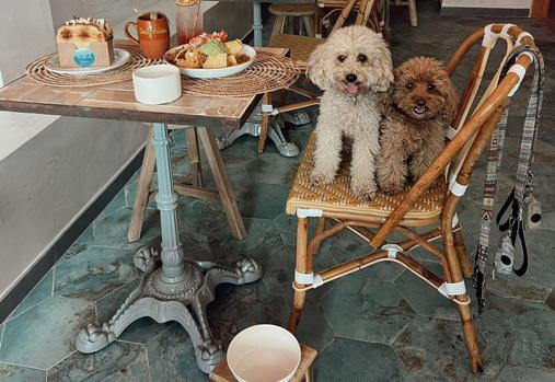 Delphina, brunch de «kilómetro 0» y tardeo en la calle Asunción