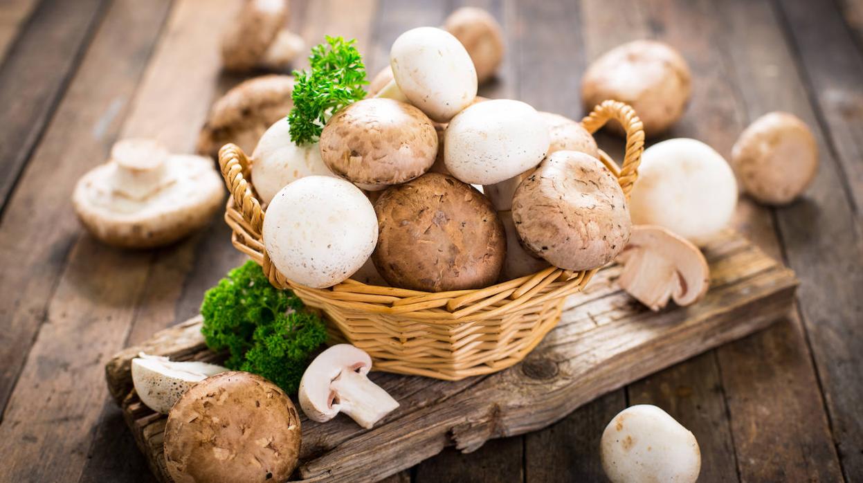 Aprende a limpiar las setas para conservarlas bien