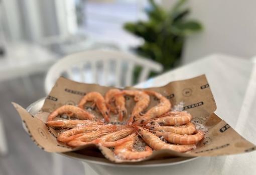 Patrón Cervecería Atlántica, nueva parada marinera en Los Remedios