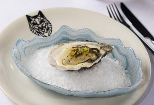 Lobo Blanco: el estilo gastronómico del centro conquista la avenida de Miraflores