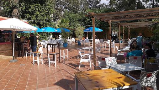 ¿Dónde comer con niños en Sevilla? Diez sitios para disfrutar en familia