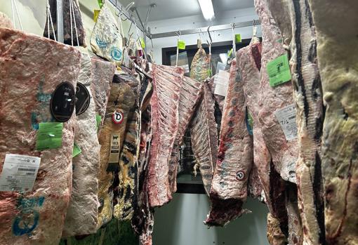 David García (Ostrea Sur): «Hemos democratizado las carnes maduradas en Sevilla igual que hicimos con las ostras»