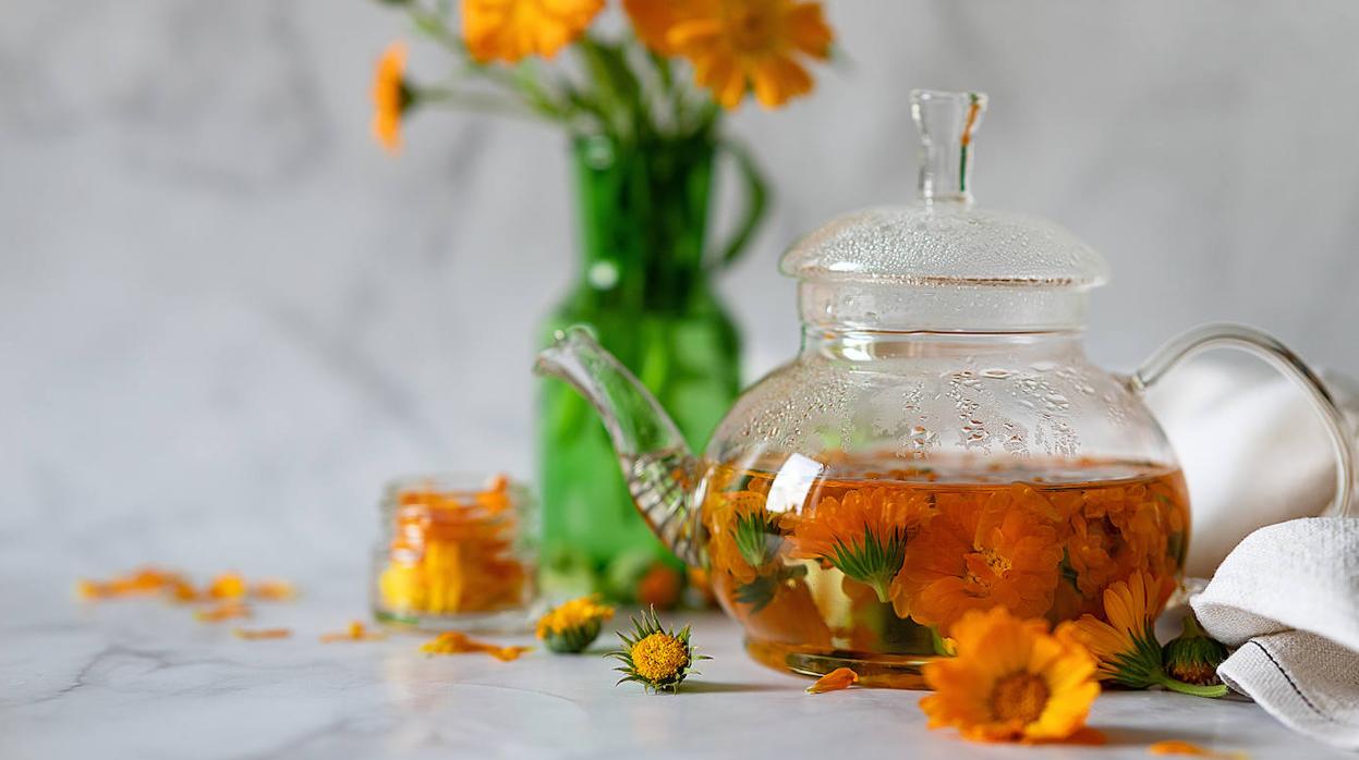 Esta planta ha tenido usos medicinales desde hace siglos