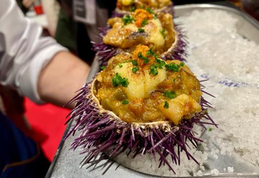 Erizo marino, elaboración de Jaime Guardiola (Grupo Tribeca)