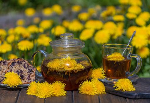 Tomar té de diente de léon es sano y natural