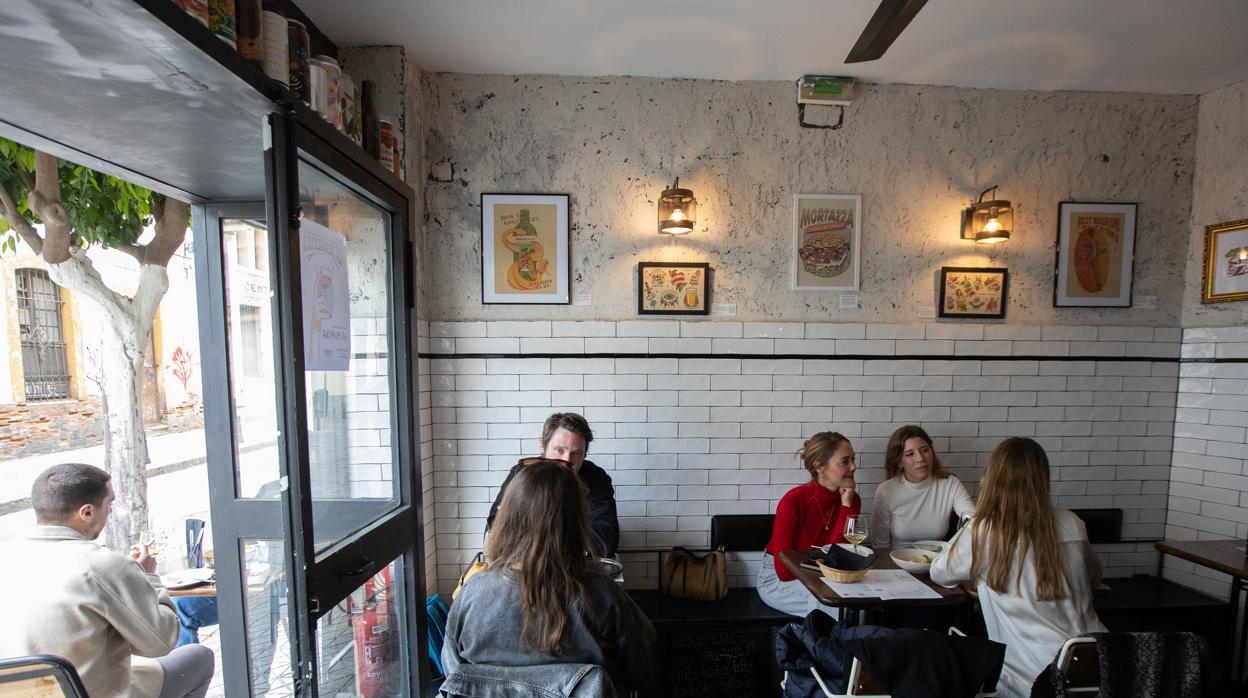 Mono: «El más listo de la selva»