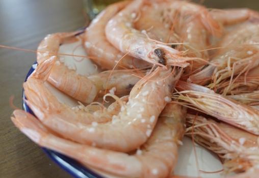 La Sevillana, cerveceo y tapeo a gran escala junto al Alamillo