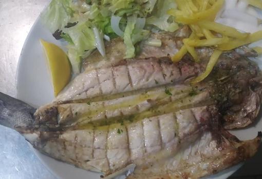 Mesón El Barrio: Tradición y sabor que perduran en Córdoba