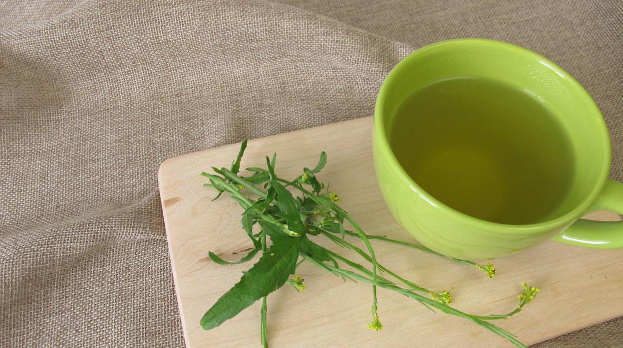 El erísimo es bueno para nuestra garganta