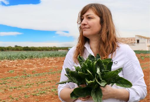 María José Martínez (Lienzo): «Los vinos de Jerez son tan particulares que hay que defenderlos»