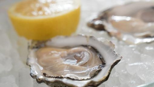Sólo son seis, pero son los mejores sitios para comer ostras en Sevilla