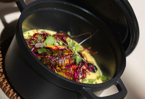 Coles de bruselas braseadas