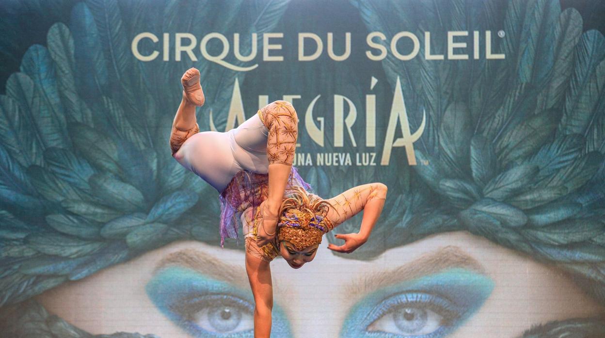 ¿Vas a «Alegría» del Circo del Sol? Aquí tienes 10 bares cercanos donde parar a comer