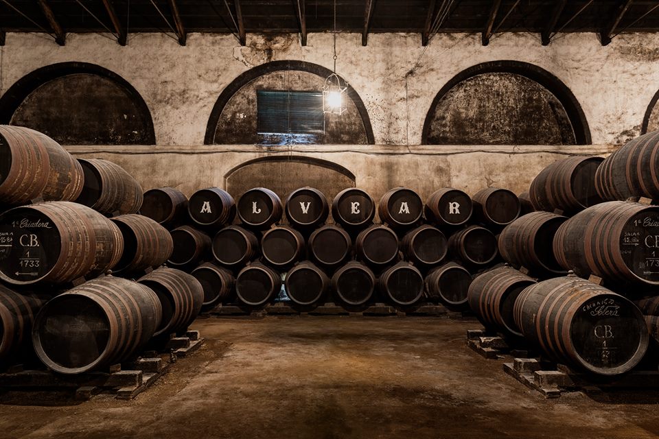 Tres bodegas de Córdoba entre las mejores españolas de la última década