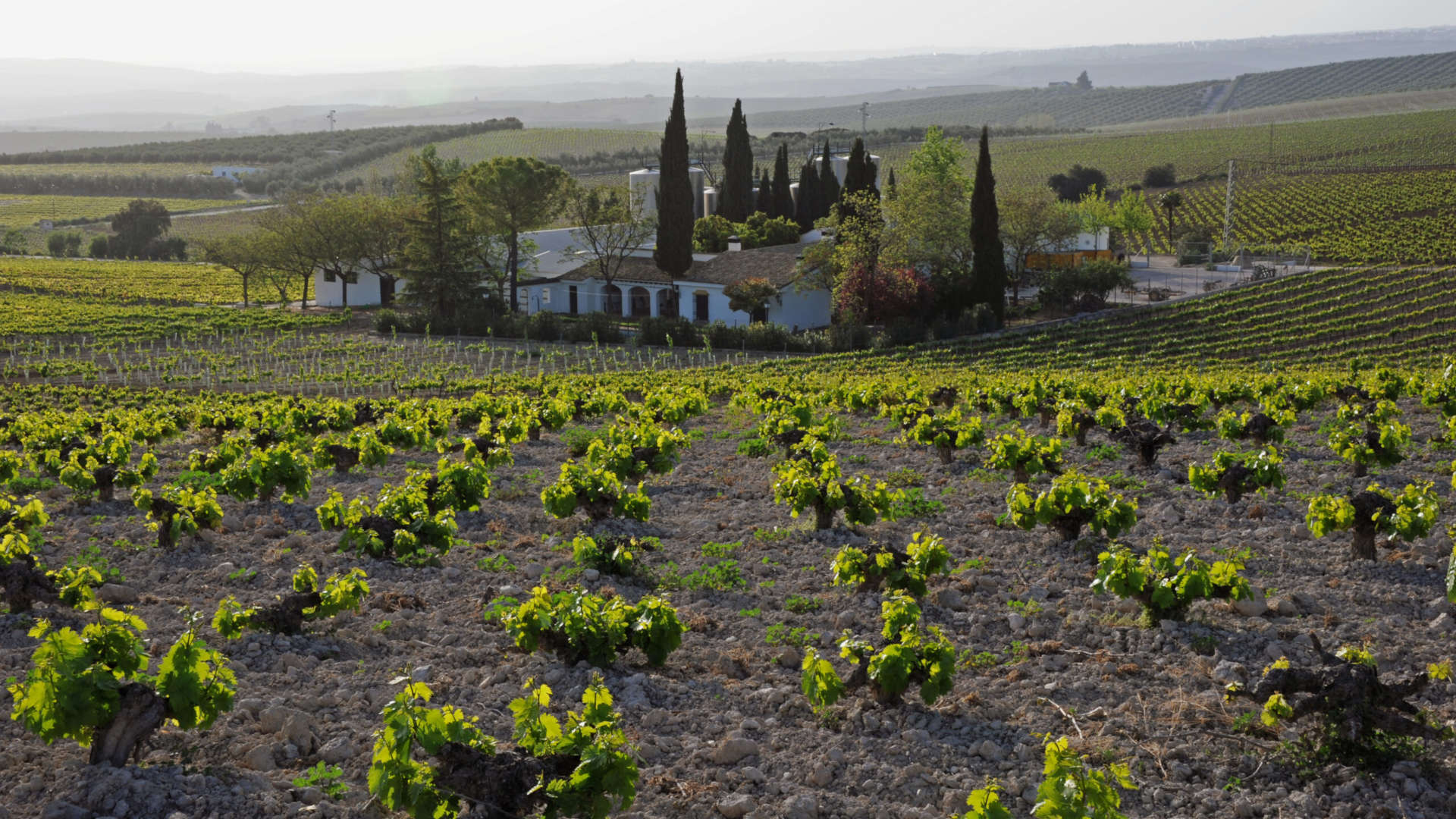Así es el nuevo brut nature G1 de las bodegas Pérez Barquero