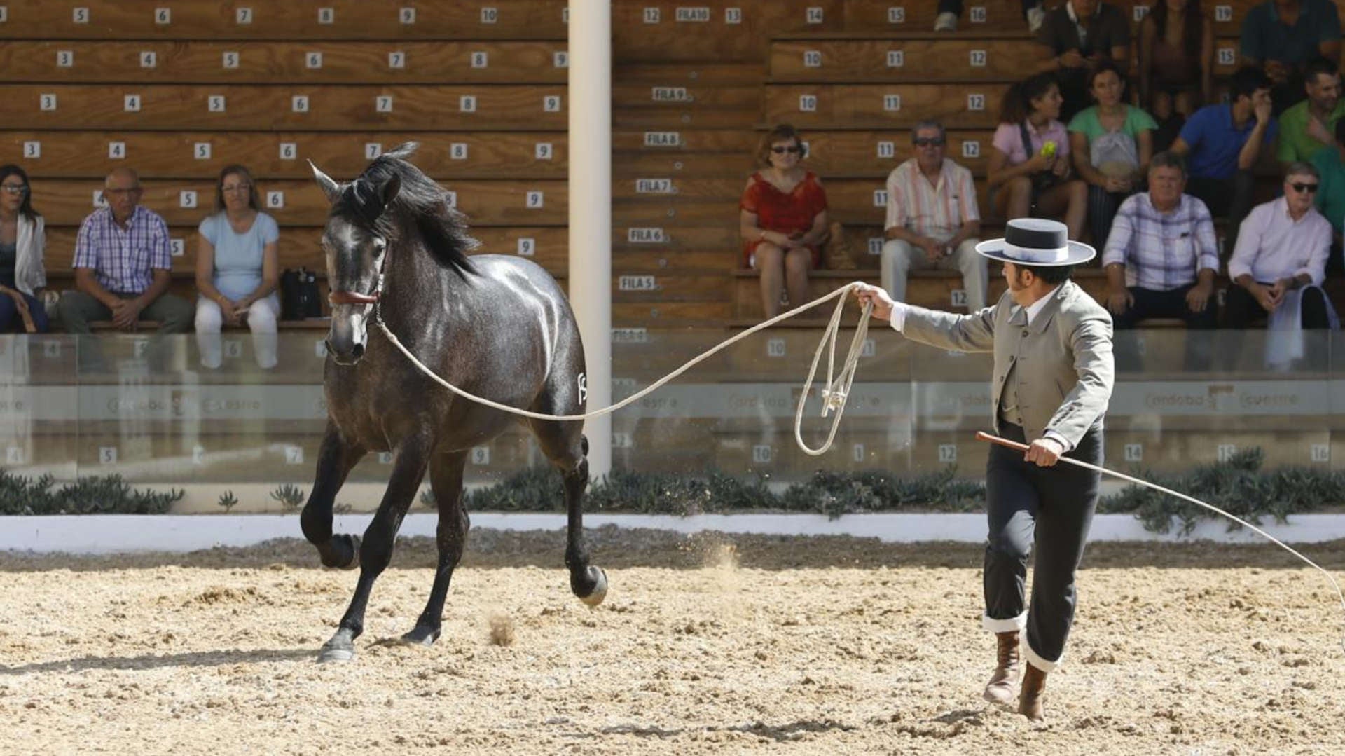Dónde comer bien cerca de la Feria del Caballo de Córdoba