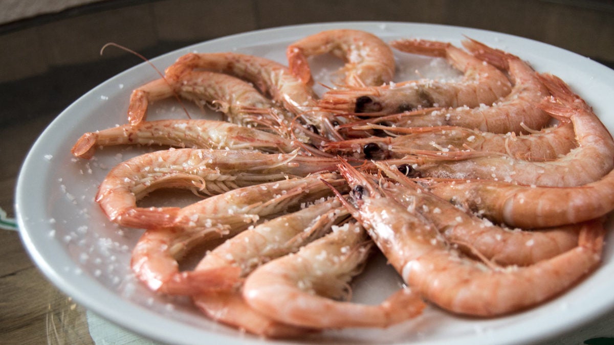 Gambas